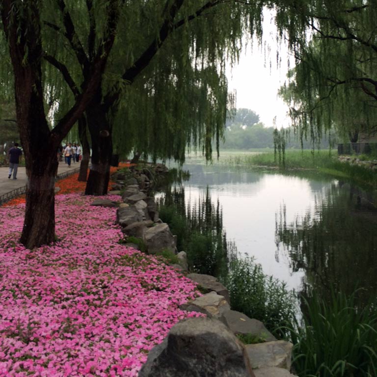 A park in China